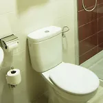 Lupa San Juan de Pinera